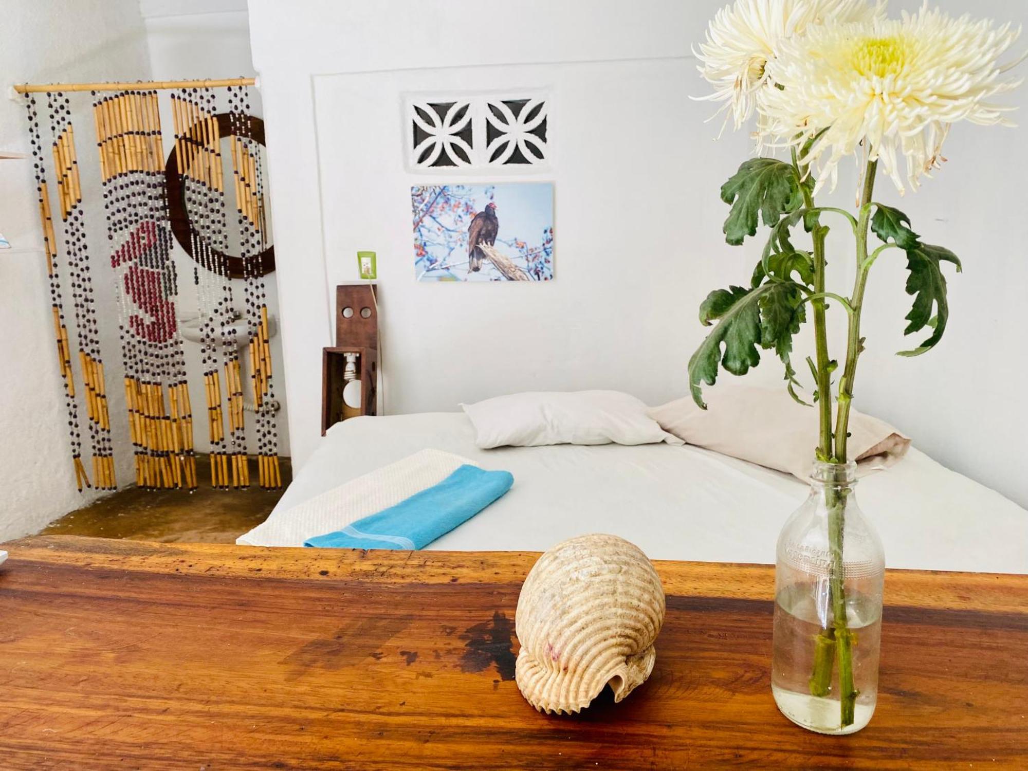 Hostal Mar De Fondo Zipolite Εξωτερικό φωτογραφία